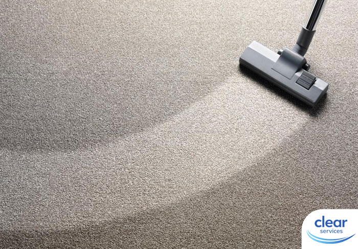 Carpet Cleaning Services