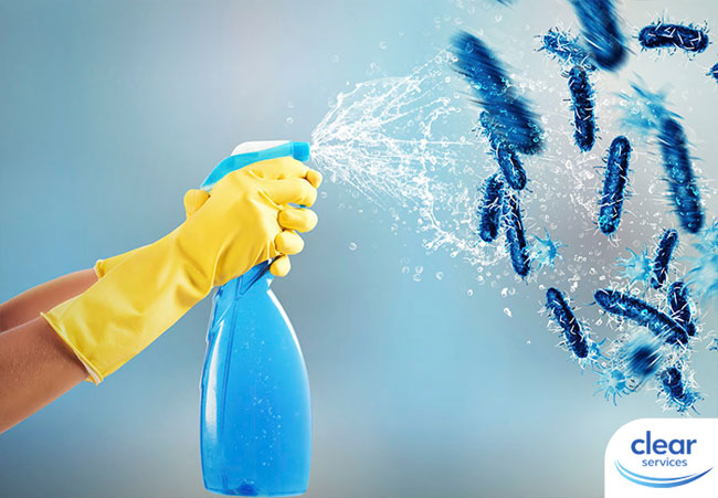 Deep Cleaning Services